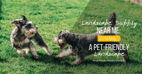 Landscape Supply Near Me | Creating a Pet-Friendly Landscape