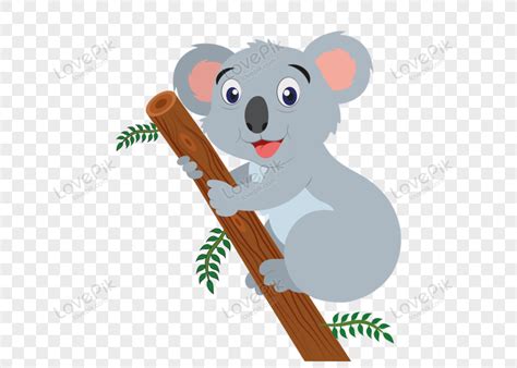 Cartoon Gray Koala Vector Png Transparent Image And Clipart Image For