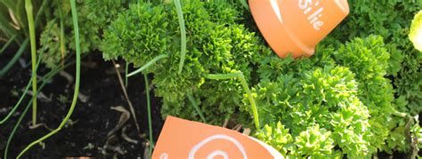 Gestalten mit glas für haus und garten glasprofi24. DIY: Kreativer Garten mit Tontöpfen