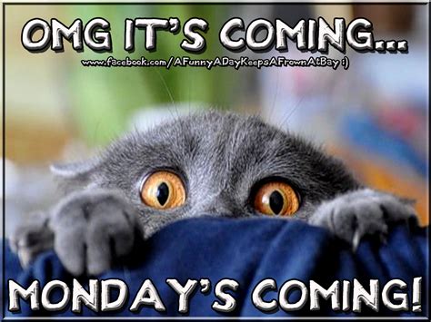 Omg Mondays Coming Pictures Photos And Images For Facebook Tumblr