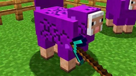 Cursed Minecraft Images 12 Youtube