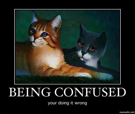 Tumblr is a place to express yourself, discover yourself, and bond over the stuff you love. 24 best images about Funny Warrior Cats on Pinterest | Adoption, Word of advice and Warrior cats