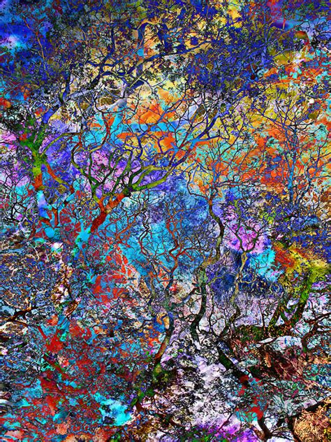 Abstract Trees Is An Abstract Photo Expressionism Digital Photography