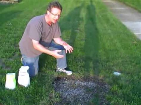 How Much Water Does My Lawn Need A Week | TcWorks.Org