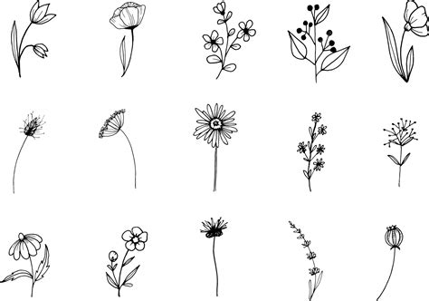 Premium Vector Wildflower Line Art Doodle Clipart Hand Drawn