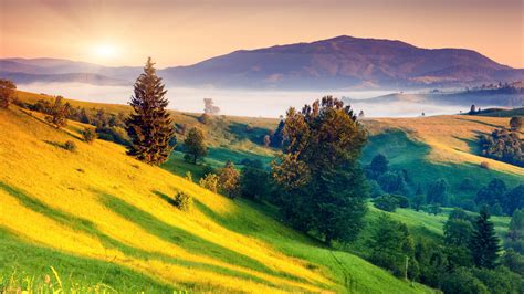 Beautiful Landscape 4K wallpaper