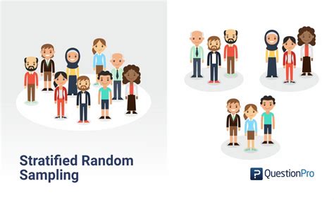 The different types of sampling methods and techniques: Stratified Random Sampling: Definition, Method and ...