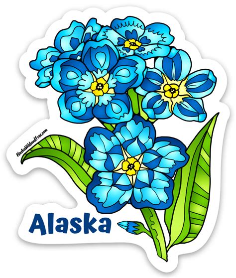 Alaska State Symbols Coloring Pages Clipart Full Size Clipart