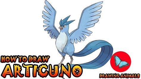 How To Draw Articuno Pokemon Drawing Animals Youtube