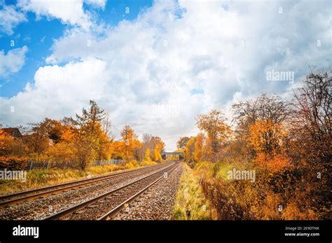 Railroad Tracks Going Through A Colorful Autumn Scenery With With Trees