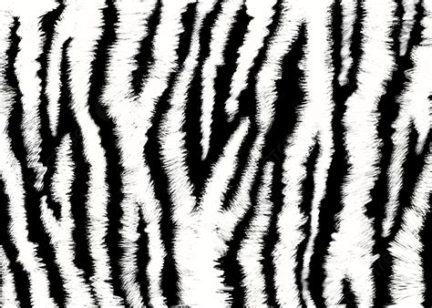 Abstrakte Textur Tiger Streifen Schwarz Und Wei Hintergrund Streifen