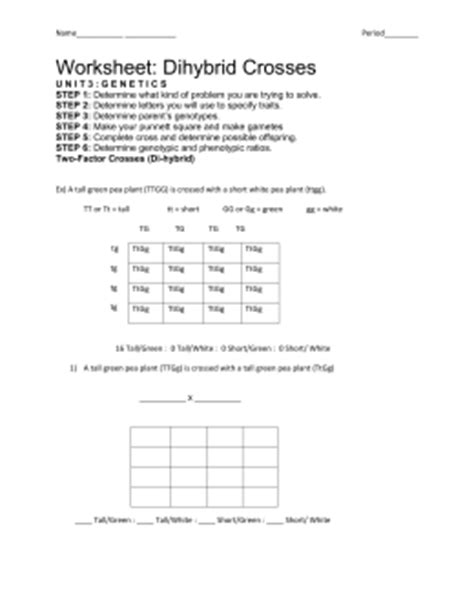 G e n e t i c s. 34 Dihybrid Cross Worksheet Answers - Worksheet Project List