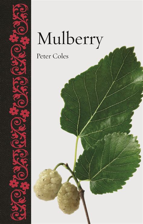 Mulberry, Coles