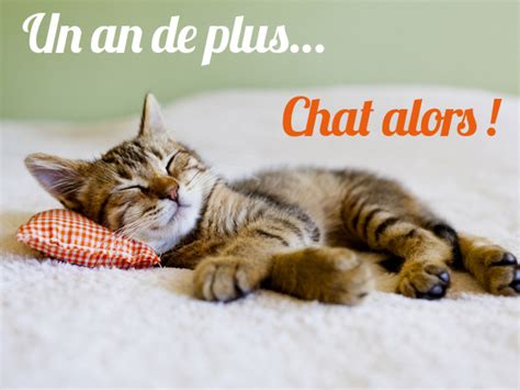 Carte invitation anniversaire 40 ans new carte d invitation anniversaire originale ad66. carte anniversaire chaton