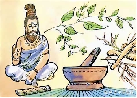 阿育吠陀医学：古印度灿烂的治愈之术 知乎
