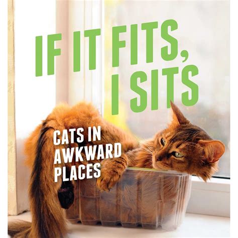 If It Fits I Sits Cats In Awkward Places By Various — Reviews