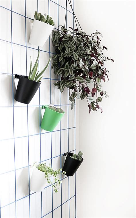 Make This Super Easy Diy Hanging Plant Wall Wall Plant Hanger