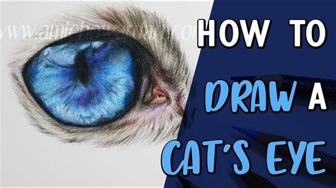 How To Draw A Cats Eye Coloured Pencil Drawing Tutorial Youtube