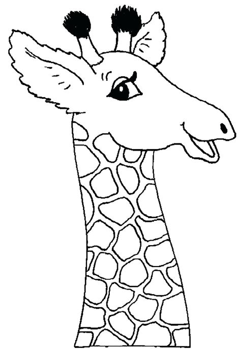 Giraffe Face Drawing At Getdrawings Free Download