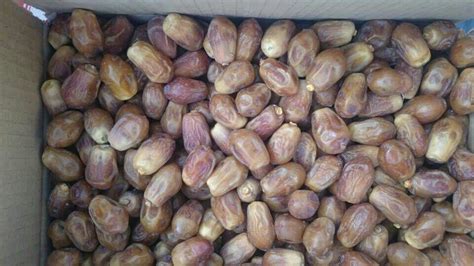خرید خرما زاهدی خشک اعلاء فروشگاه عرضه انواع خرمای ایران بازار خرما ایران