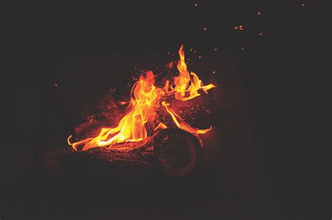 Brown Lit Woods Bonfire Fire Flames Hd Wallpaper Wallpaper Flare