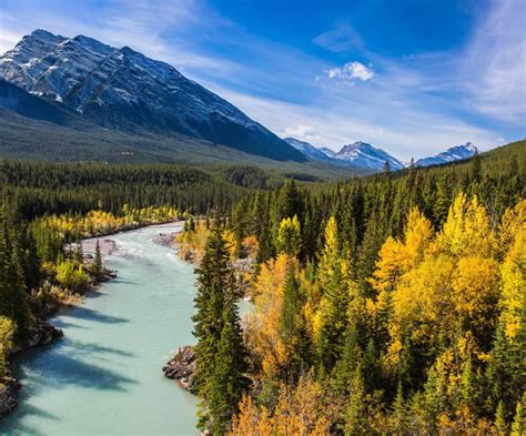 A Beginners Guide To Alberta Crown Land Camping For 2023