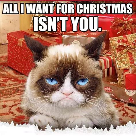 Grumpy Cat Christmas Meme 005 All I Want For Christmas Comics And Memes
