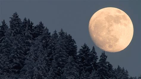 Super Snow Moon 2019s Biggest Supermoon Lights Up The Sky This Week