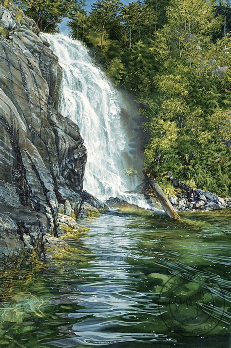 Cassel Falls — Watercolors By Carol Evans Waterfall Art Watercolor
