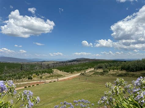 1535 Tooma Road, Burra NSW 2653 - House for Sale | Domain