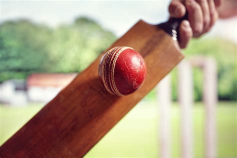 10 Cosas Que No Conoces Sobre El Cricket El Deporte Que Inventaron Los Inglesese Kelington