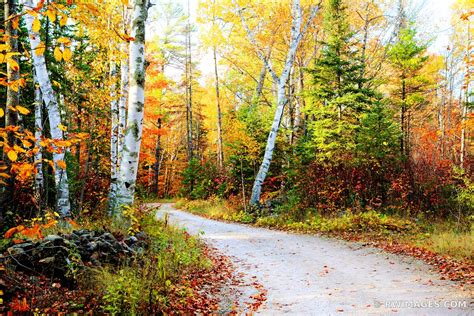 Photo Print Of Autumn Forest Road Door County Wisconsin Fall Colors