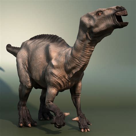 3d Dinosaur Iguanodon Model