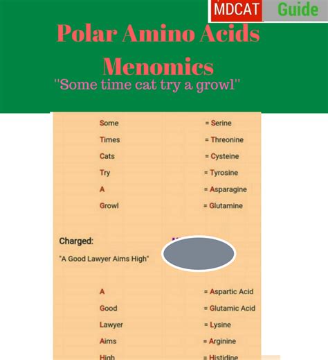 Amino Acids Mnemonics Easy Way To Memorize Mdcat Guide