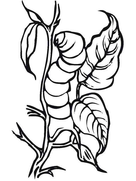 Printable coloring pages for kids unicorn disney free cartoon. Insect coloring pages to download and print for free