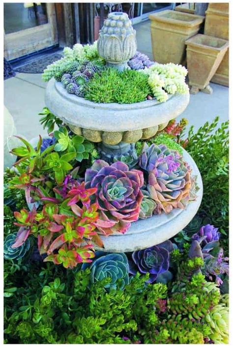 Succulent Fountain Ideas How To Convert A Fountain To A Succulent Garden