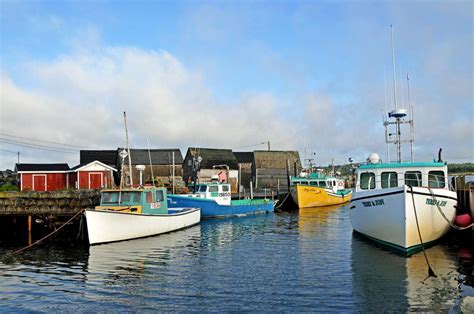 The Wonders Of The Gulf Of St Lawrence Oceana Canada