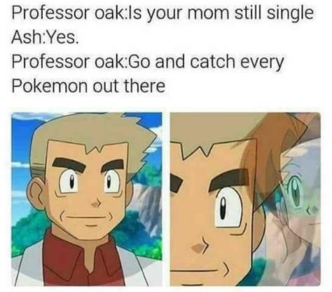 Gotta Catch Em All Ash S Mom And Professor Oak Know
