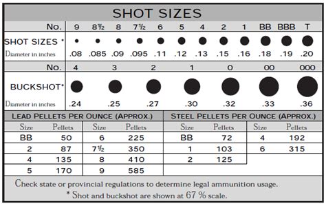 Chart Of Shot Sizes