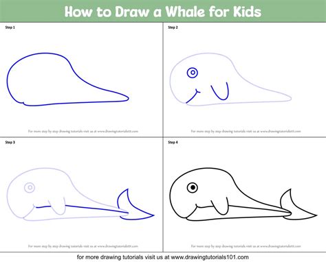 How To Draw A Whale For Kids Animals For Kids Step By Step