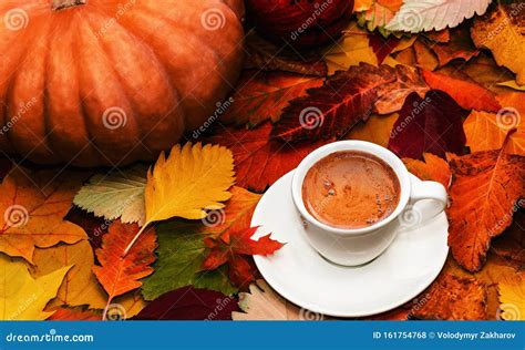 Autumn Composition White Cup Of Coffee And Pumpkins On Colorful Autumn