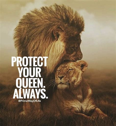 Pin By Jessi James On Love Quotes Lion Quotes Lion Love Lions
