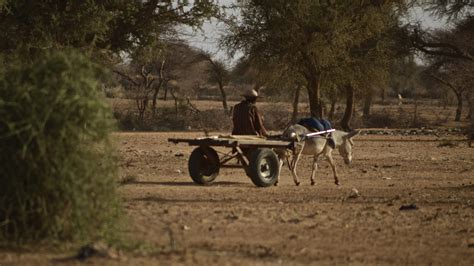 Les Effets Du Changement Climatique Au Sahel Expadd