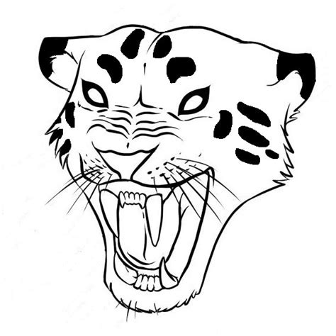 With the help of such abilities he can lure prey. Jaguar Head Drawing | Free download on ClipArtMag