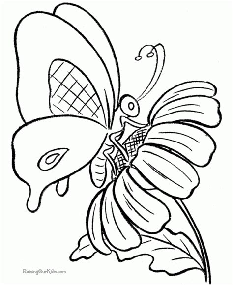 Get This Butterfly Coloring Pages Printable 9102
