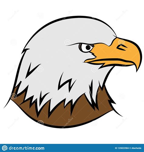 Bald Eagle On White Stock Vector Illustration Of American 125822984