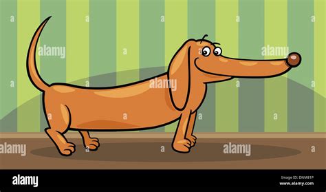 Cartoon Illustration Of Cute Purebred Dachshund Dog At Home Stock