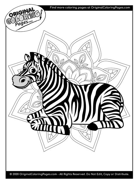 Zebra Coloring Pages Coloring Pages Original Coloring Pages