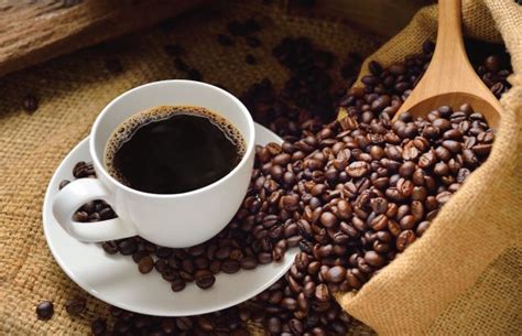 Kopi liberika (coffea liberica) kopi liberika dikenal kurang ekonomis dan komersial karena memiliki banyak variasi bentuk dan ukuran biji serta kualitas cita rasanya (rahardjo, 2012). Contoh Brosur Kedai Kopi - Brosur dan Spanduk