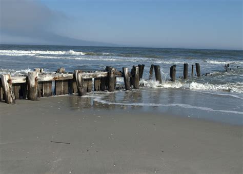 folly beach, south carolina | Places to visit, Favorite places, Dream